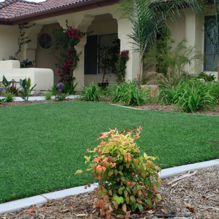 Synthetic Turf The Perfect Solution for Colorado's Climate